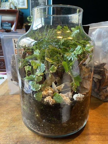 Terrarium glass bio active - glass,