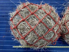 Small HayNet Large Holes For