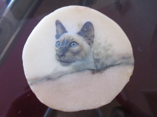 Marble onyx siamese cat - marble/onyx,