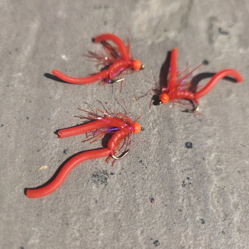 Worms fly fishing trout - worms,
