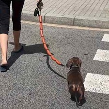 Sausage Shaped Dog Leash