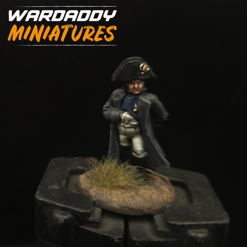 Pro painted 28mm - painted,