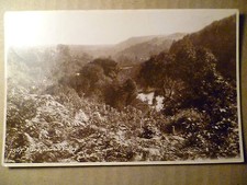 REAL PHOTO Postcard-