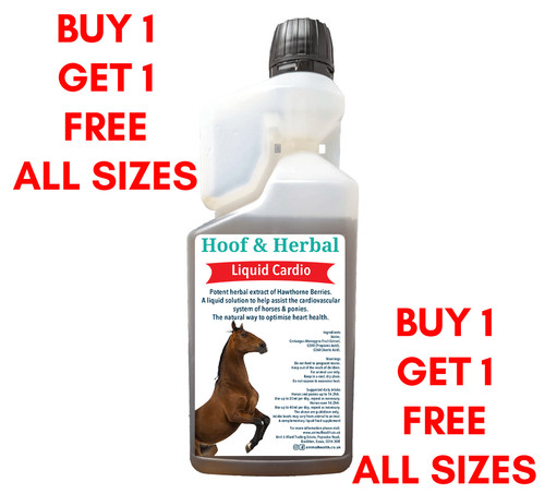 Hoof herbal liquid - liquid, cardio