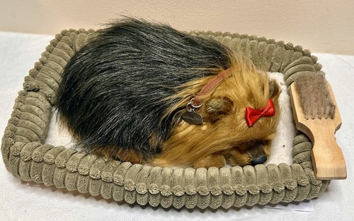 The perfect petzzz precious - perfect,