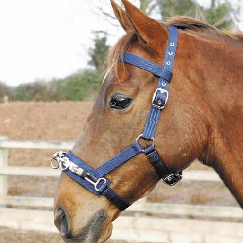 Shires deluxe lunge - shires,