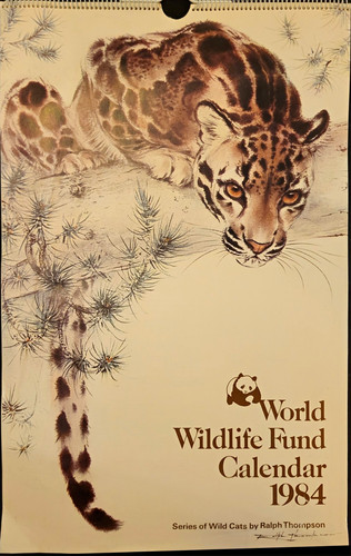 1984 wwf wall - wwf,