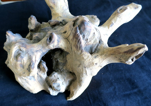 Natural driftwood for garden - natural,