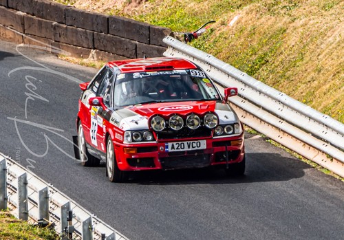 Wall art audi quatro rally - wall,