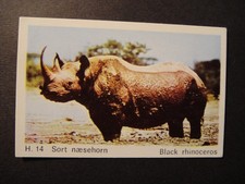 DANDY GUM WILD ANIMALS DANISH