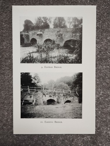 Elstead and eashing bridges - eashing,