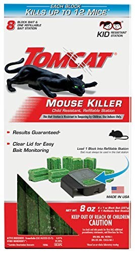 Mouse mice rat - rat, 8