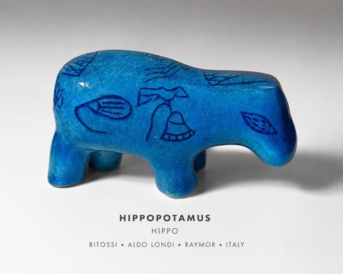 Hippopotamus hippo bitossi - hippo,
