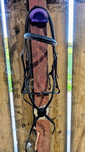 Gfs black cob - grackle, bridle