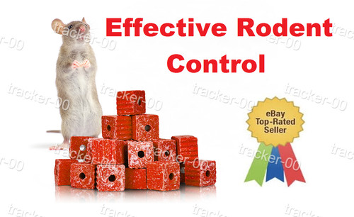 Effective poison feed rat - effective,