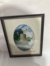 Fossil Tree Picture Stanhope