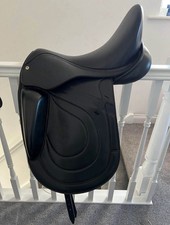 Premier Equine Bletchley