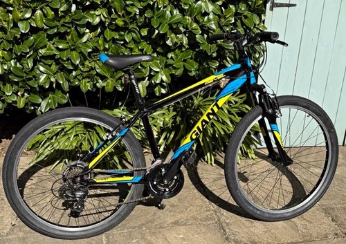 Giant revel mountain - revel, bike