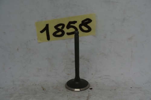 Intake valve quad shineray - valve,