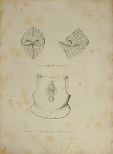 1830 ANTIQUE ARMS & ARMOUR PRINT FRONT OF HELMET & BREAST PLATE 