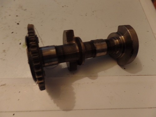 Kawasaki roller - kawasaki,