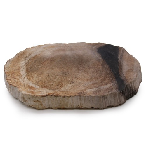 Petrified wood brown black - petrified, brown/black