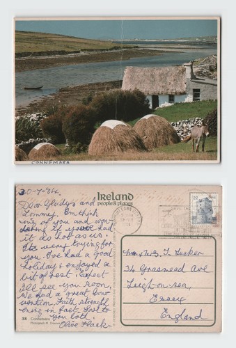 Vintage postcard thatched - vintage,