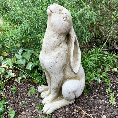 Stone moongazing hare - moongazing,