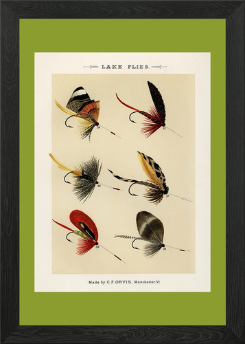 Vintage fishing flies framed - fishing,