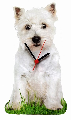West highland terrier - terrier, clock
