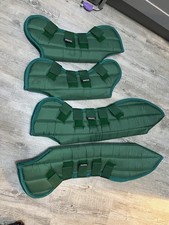 Stunning Emerald Green Horse