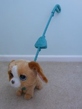 Walk a Lots Big Wags Dog