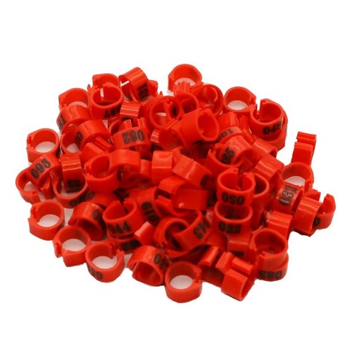 100pcs 8mm bird leg - bird, rings
