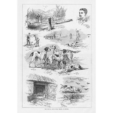 DOGS The Kennel Club Trials at