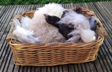 450g Raw sheepskin/ raw pelt