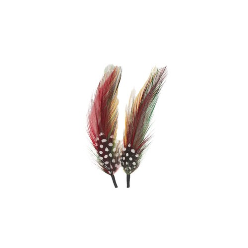 Bird feathers premium - feathers,
