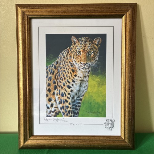 Stephen gayford signed limited - stephen,