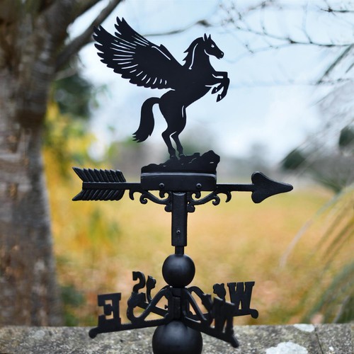 Pegasus black cast - pegasus,