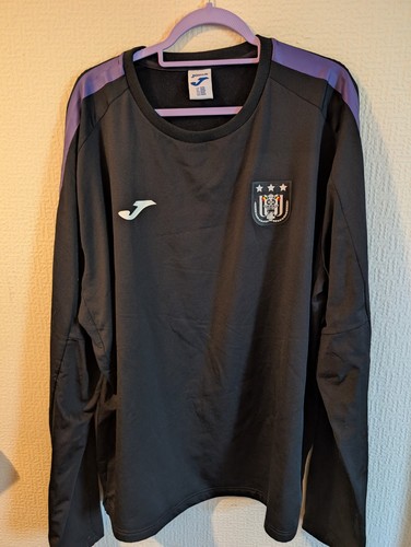Anderlecht training sweatshirt - training,
