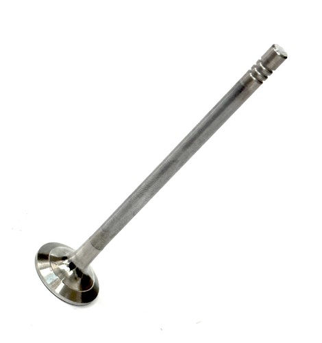 Exhaust valve for dacia - exhaust,