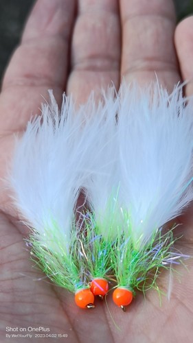 Cats whisker white - white, and