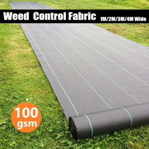 10m 15m 20m - 25m, weed