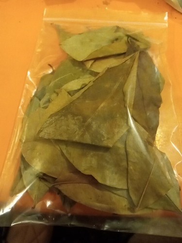 Soursop leaves dried from - soursop,