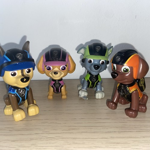 Paw patrol mission skye - pa,