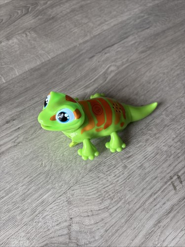Animagic lets gecko - lets, go