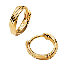 Genuine Pandora Earrings