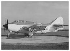 GANNET WE488  1953 ORIGINAL FAIREY 'SECRET' PHOTO RARE