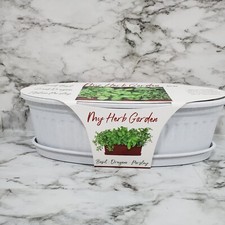 My Herb Garden White Basil