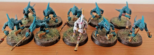 10x skink warriors well - warriors,