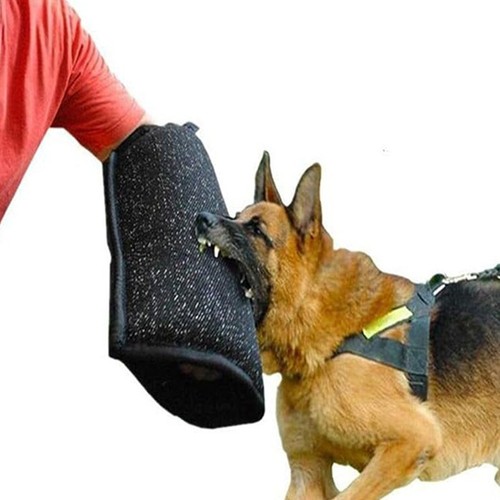 Dog bite sleeve - dog, arm